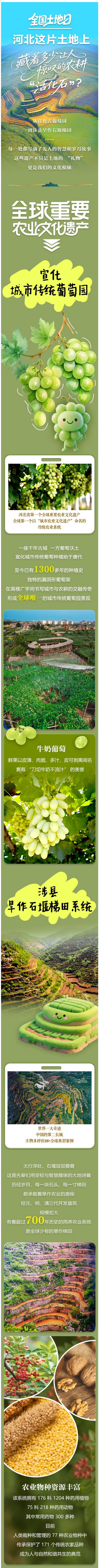 智选+ SVG · 全国土地日 | 河北这片土地上，藏着多少让人惊叹的农耕 “活化石”？_大皖新闻 | 安徽网