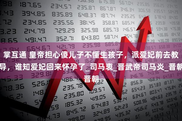 掌互通 皇帝担心傻儿子不懂生孩子，派爱妃前去教导，谁知爱妃回来怀孕了_司马衷_晋武帝司马炎_晋朝