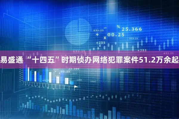 易盛通 “十四五”时期侦办网络犯罪案件51.2万余起