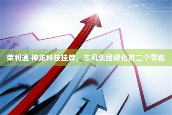 荣利通 神龙科技挂牌，东风集团孵化第二个零跑