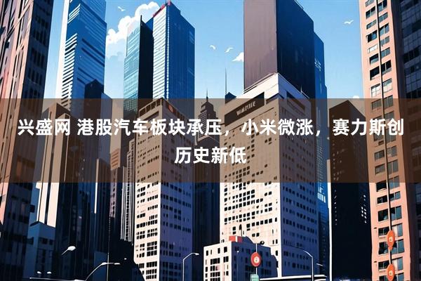 兴盛网 港股汽车板块承压，小米微涨，赛力斯创历史新低