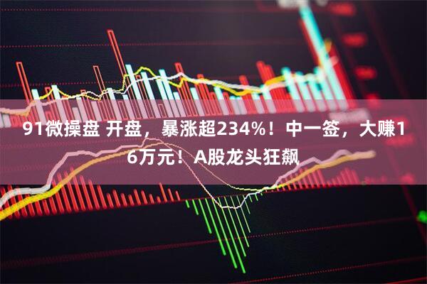 91微操盘 开盘，暴涨超234%！中一签，大赚16万元！A股龙头狂飙